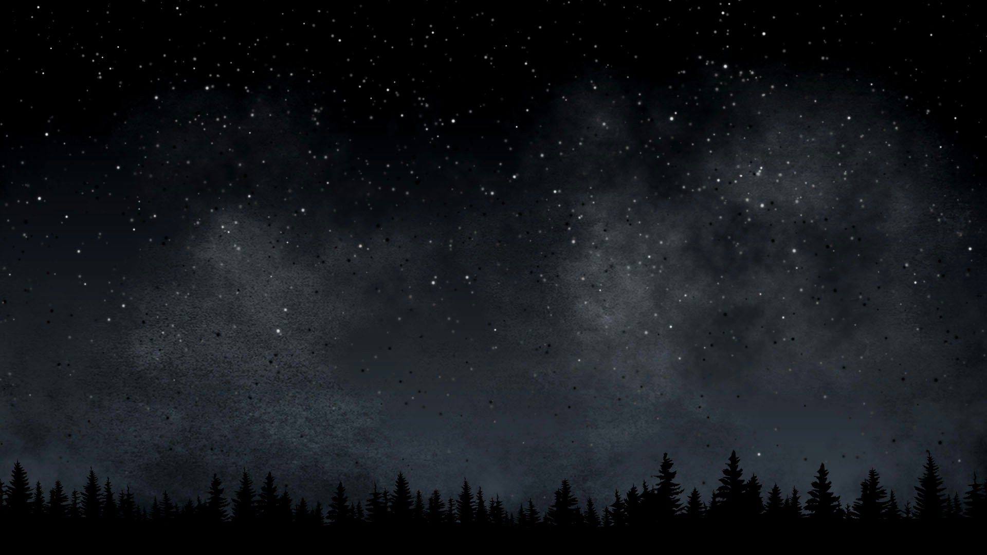Midnight-Shine-6.jpg