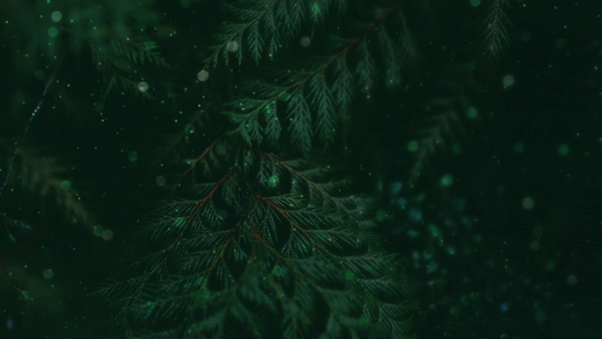 Peaceful-Glow-2.jpg
