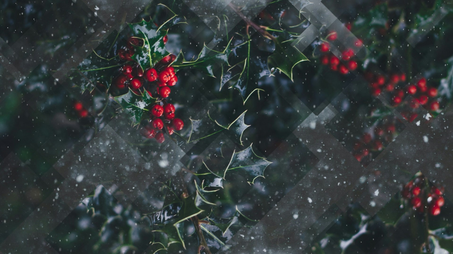 Winter-Journey-10.jpg