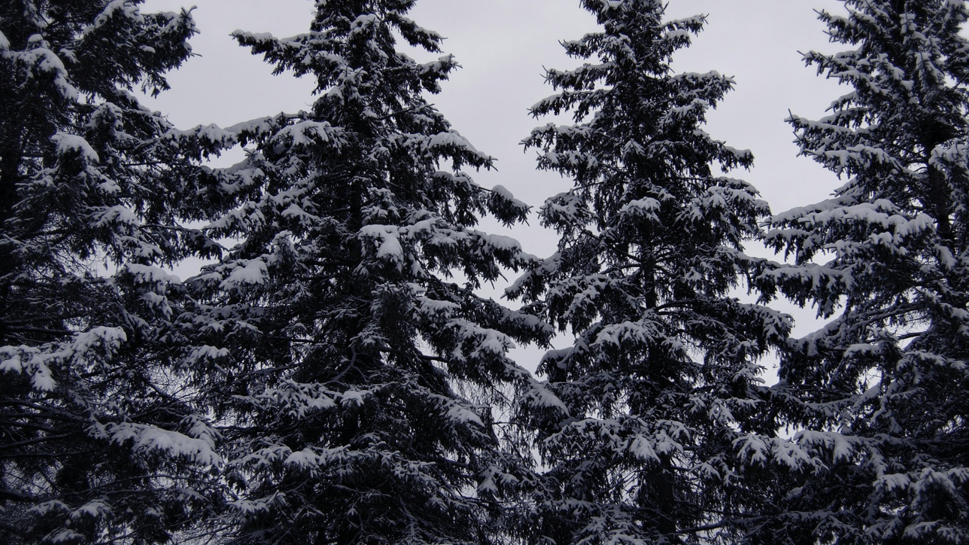 Winter-Wonderland-10.jpg