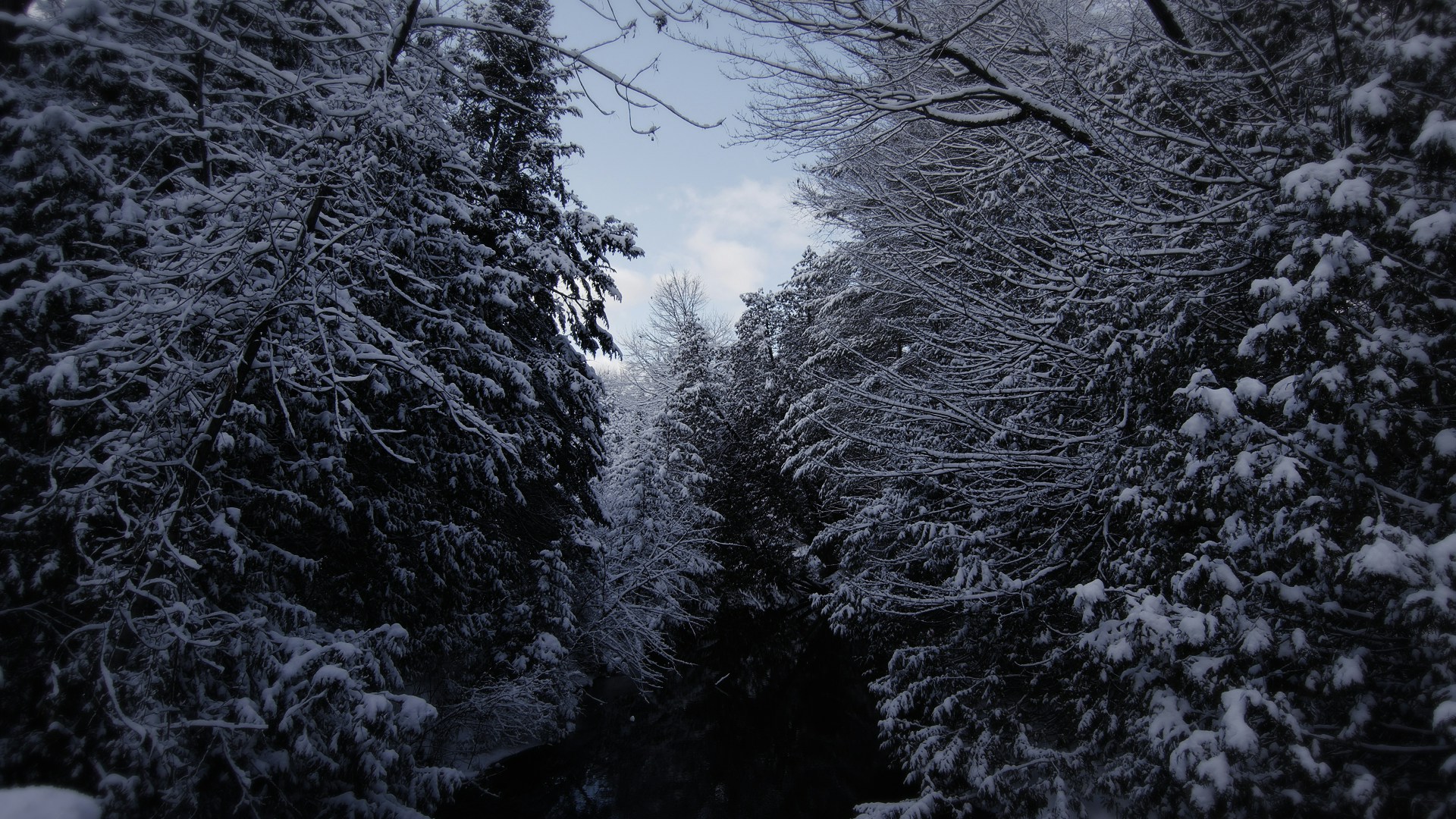 Winter-Wonderland-2.jpg