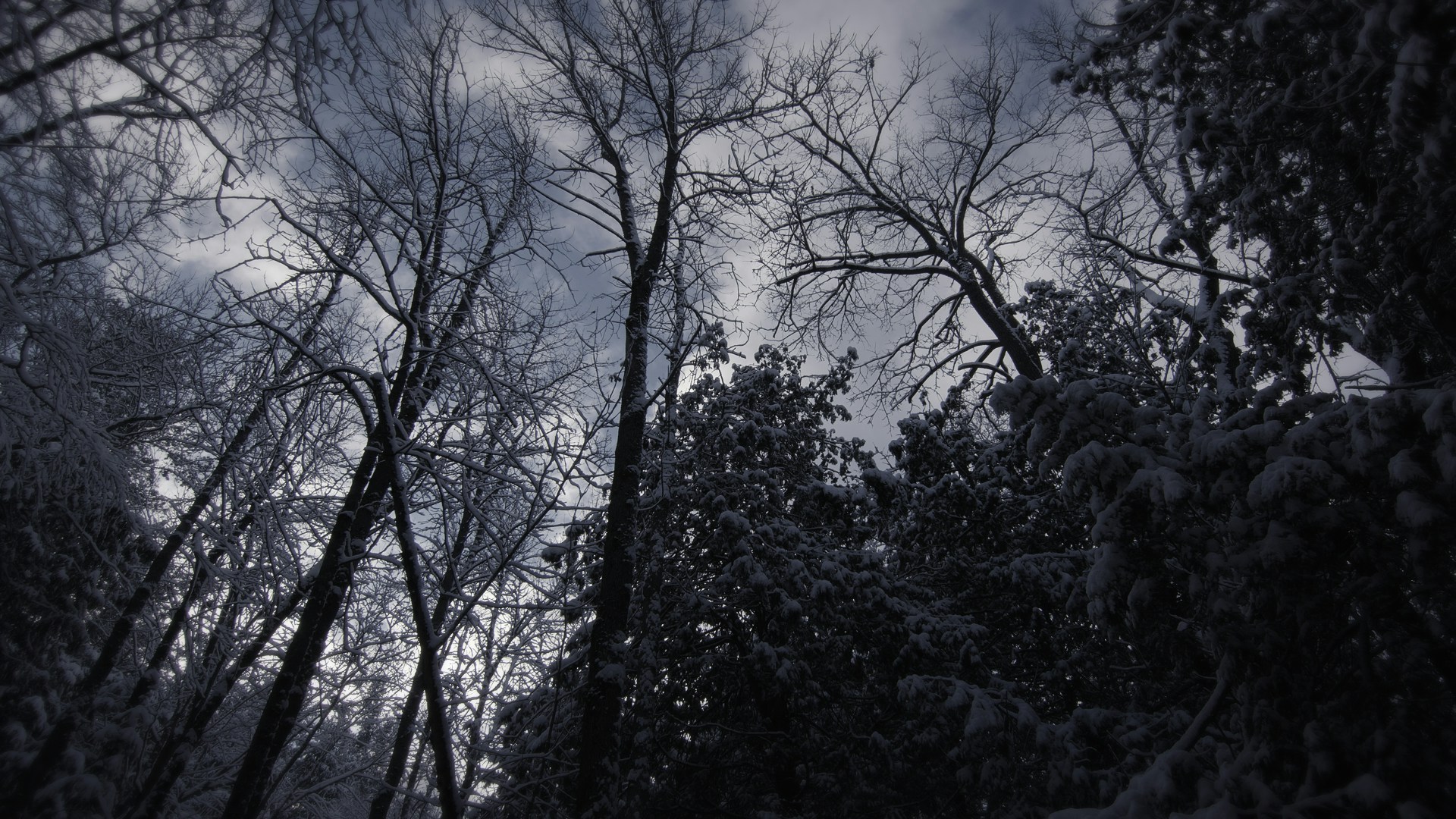 Winter-Wonderland-3.jpg