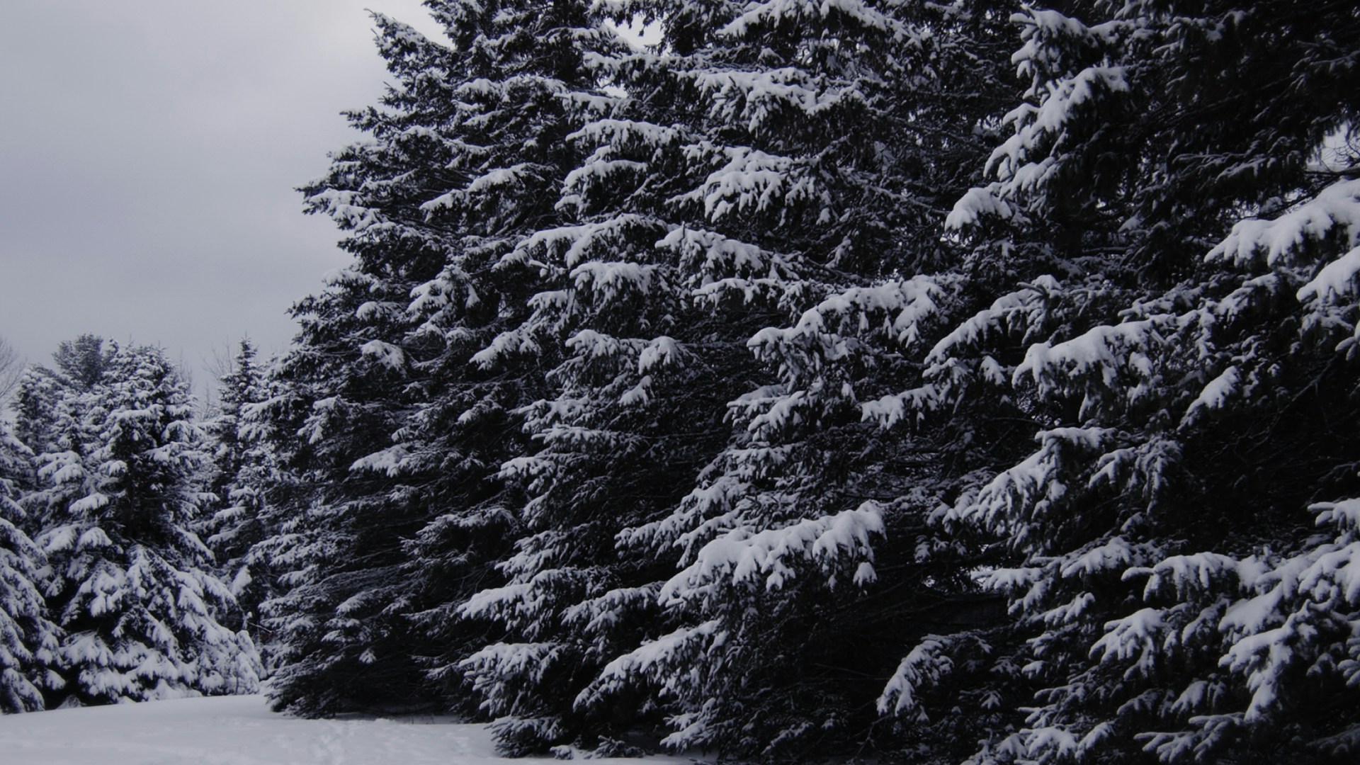 Winter-Wonderland-5.jpg