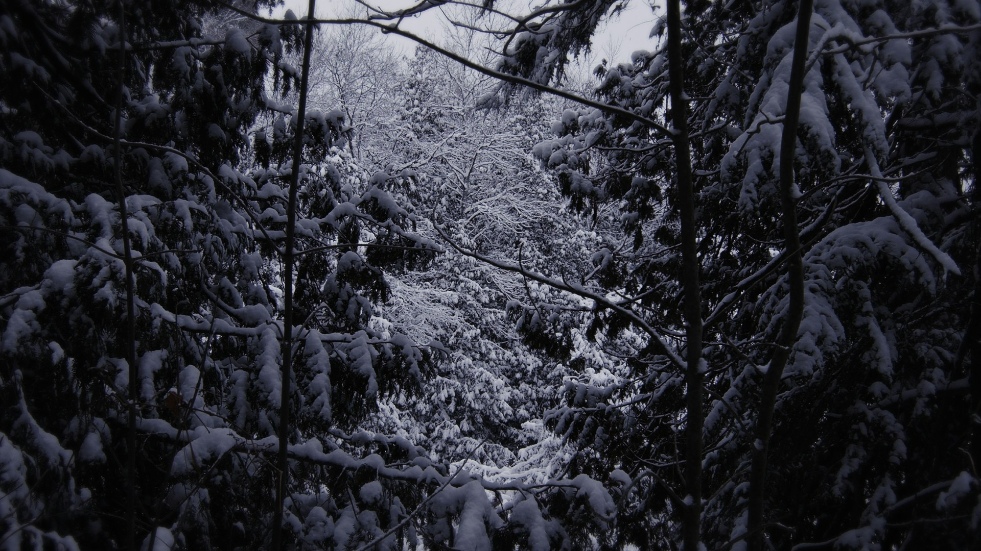 Winter-Wonderland-7.jpg