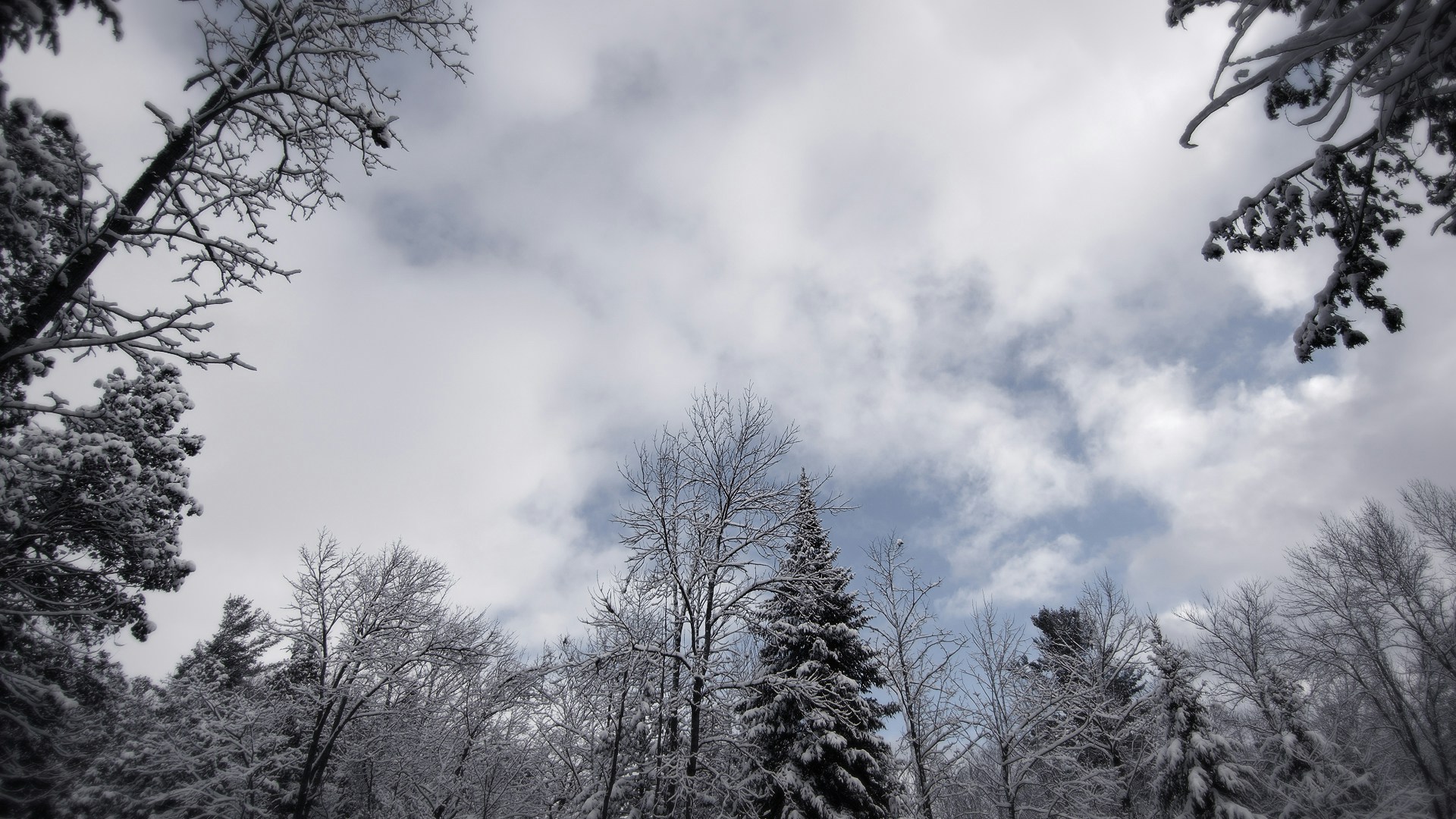 Winter-Wonderland-8.jpg